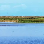Дом отдыха Lovely In Izbica *