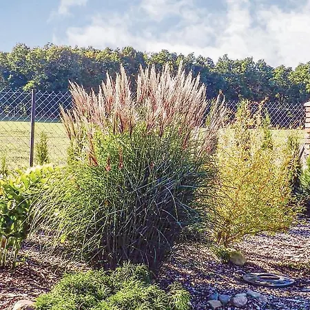 Lovely In Izbica With Wifi *