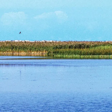 Ferienhaus Lovely In Izbica With Wifi *