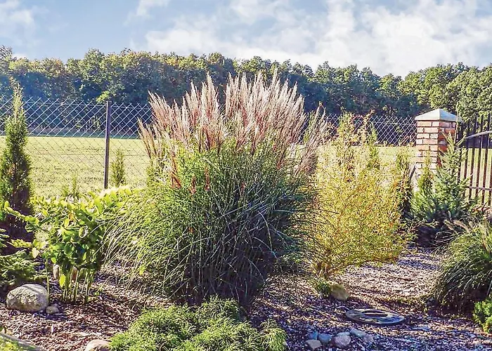 Lovely In Izbica With Wifi *