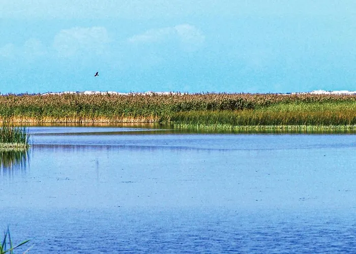 Дом отдыха Lovely In Izbica With Wifi *